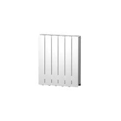 Castorama Radiateur électrique à Inertie Fluide Noirot Radiaflo Blanc 1000 W